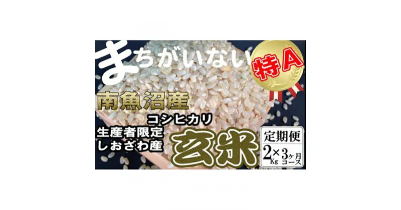 【ふるさと納税】米 定期便 玄米 コシヒカリ 南魚沼しおざわ産 6kg ( 2kg × 3ヶ月 ) | お米 こめ 食品 コシヒカリ 人気 おすすめ 送料無料 魚沼 南魚沼 南魚沼市 新潟県 玄米 産直 産地直送 お取り寄せ お楽しみ