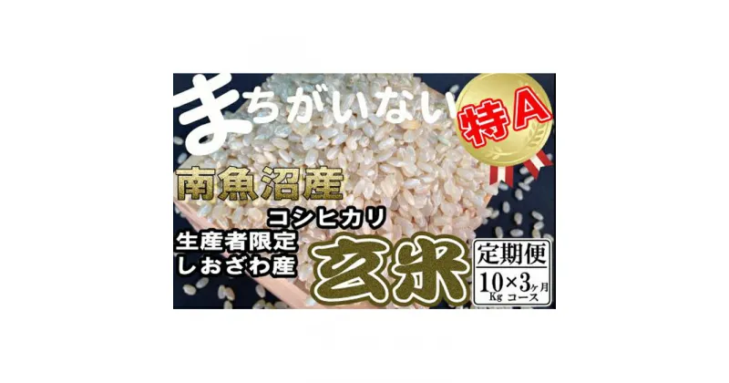 【ふるさと納税】米 定期便 玄米 コシヒカリ 南魚沼しおざわ産 30kg ( 10kg × 3ヶ月 ) | お米 こめ 食品 コシヒカリ 人気 おすすめ 送料無料 魚沼 南魚沼 南魚沼市 新潟県 玄米 産直 産地直送 お取り寄せ お楽しみ