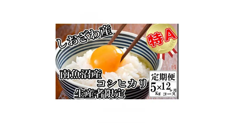 【ふるさと納税】米 定期便 コシヒカリ 南魚沼しおざわ産 60kg ( 5kg × 12ヶ月 ) 契約栽培 | お米 こめ 白米 コシヒカリ 食品 人気 おすすめ 送料無料 魚沼 南魚沼 南魚沼市 新潟県産 新潟県 精米 産直 産地直送 お取り寄せ お楽しみ