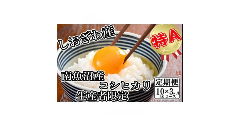 【ふるさと納税】米 定期便 コシヒカリ 南魚沼しおざわ産 30kg ( 10kg × 3ヶ月 ) 契約栽培 | お米 こめ 白米 コシヒカリ 食品 人気 おすすめ 送料無料 魚沼 南魚沼 南魚沼市 新潟県産 新潟県 精米 産直 産地直送 お取り寄せ お楽しみ