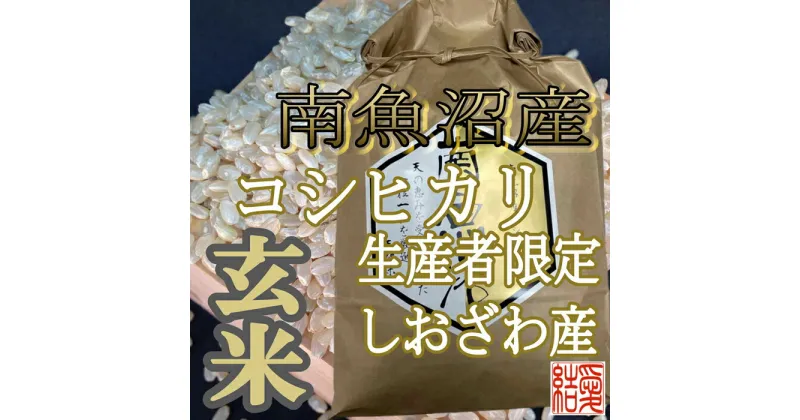 【ふるさと納税】米 定期便 玄米 コシヒカリ 南魚沼しおざわ産 6kg ( 2kg × 3ヶ月 ) | お米 こめ 食品 コシヒカリ 人気 おすすめ 送料無料 魚沼 南魚沼 南魚沼市 新潟県 玄米 産直 産地直送 お取り寄せ お楽しみ