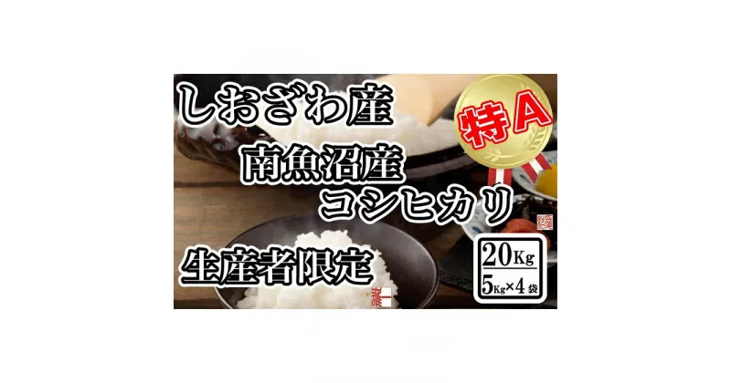 【ふるさと納税】米 コシヒカリ 南魚沼しおざわ産 20kg ( 5kg × 4袋 ) 契約栽培 | お米 こめ 白米 コシヒカリ 食品 人気 おすすめ 送料無料 魚沼 南魚沼 南魚沼市 新潟県産 新潟県 精米 産直 産地直送 お取り寄せ