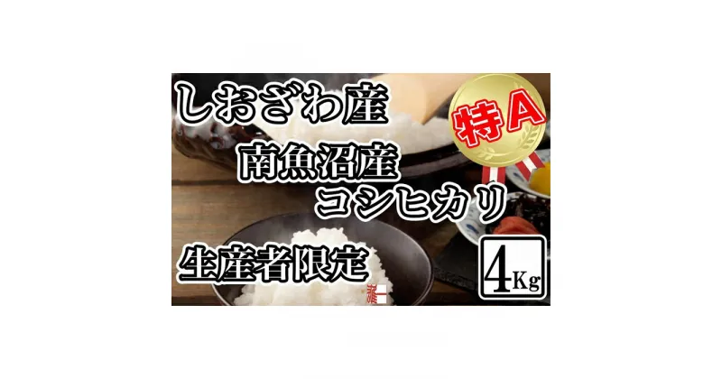 【ふるさと納税】米 コシヒカリ 南魚沼しおざわ産 4kg ( 2kg × 2袋 ) 契約栽培 | お米 こめ 白米 コシヒカリ 食品 人気 おすすめ 送料無料 魚沼 南魚沼 南魚沼市 新潟県産 新潟県 精米 産直 産地直送 お取り寄せ