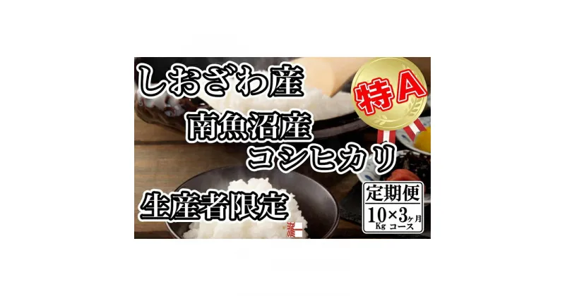 【ふるさと納税】米 定期便 コシヒカリ 南魚沼しおざわ産 30kg ( 10kg × 3ヶ月 ) 契約栽培 | お米 こめ 白米 コシヒカリ 食品 人気 おすすめ 送料無料 魚沼 南魚沼 南魚沼市 新潟県産 新潟県 精米 産直 産地直送 お取り寄せ お楽しみ