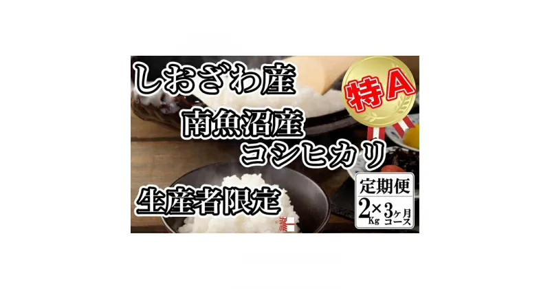 【ふるさと納税】米 定期便 コシヒカリ 南魚沼しおざわ産 6kg ( 2kg × 3ヶ月 ) 契約栽培 | お米 こめ 白米 コシヒカリ 食品 人気 おすすめ 送料無料 魚沼 南魚沼 南魚沼市 新潟県産 新潟県 精米 産直 産地直送 お取り寄せ お楽しみ