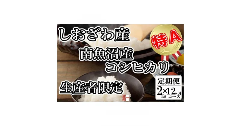 【ふるさと納税】米 定期便 コシヒカリ 南魚沼しおざわ産 24kg ( 2kg × 12ヶ月 ) 契約栽培 | お米 こめ 白米 コシヒカリ 食品 人気 おすすめ 送料無料 魚沼 南魚沼 南魚沼市 新潟県産 新潟県 精米 産直 産地直送 お取り寄せ お楽しみ