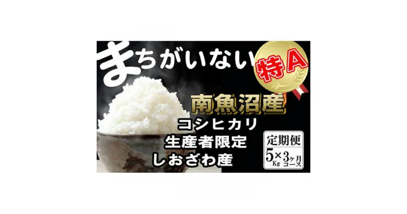 【ふるさと納税】米 定期便 コシヒカリ 南魚沼しおざわ産 15kg ( 5kg × 3ヶ月 ) 契約栽培 | お米 こめ 白米 コシヒカリ 食品 人気 おすすめ 送料無料 魚沼 南魚沼 南魚沼市 新潟県産 新潟県 精米 産直 産地直送 お取り寄せ お楽しみ