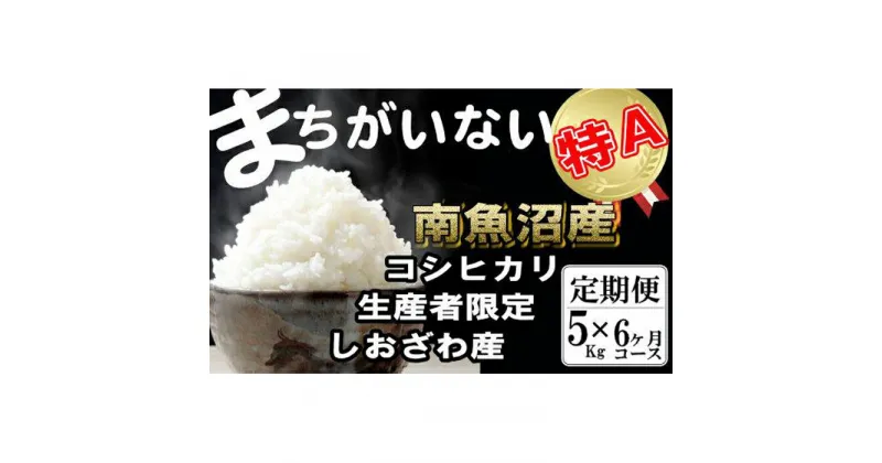 【ふるさと納税】米 定期便 コシヒカリ 南魚沼しおざわ産 30kg ( 5kg × 6ヶ月 ) 契約栽培 | お米 こめ 白米 コシヒカリ 食品 人気 おすすめ 送料無料 魚沼 南魚沼 南魚沼市 新潟県産 新潟県 精米 産直 産地直送 お取り寄せ お楽しみ