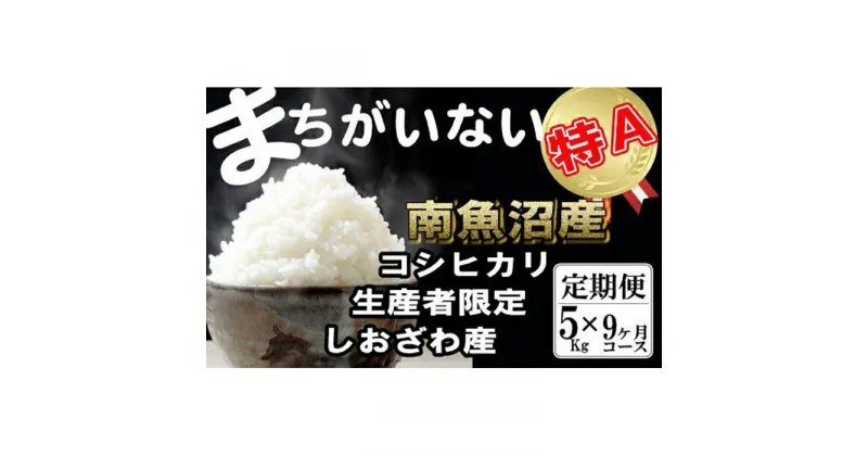 【ふるさと納税】米 定期便 コシヒカリ 南魚沼しおざわ産 45kg ( 5kg × 9ヶ月 ) 契約栽培 | お米 こめ 白米 コシヒカリ 食品 人気 おすすめ 送料無料 魚沼 南魚沼 南魚沼市 新潟県産 新潟県 精米 産直 産地直送 お取り寄せ お楽しみ