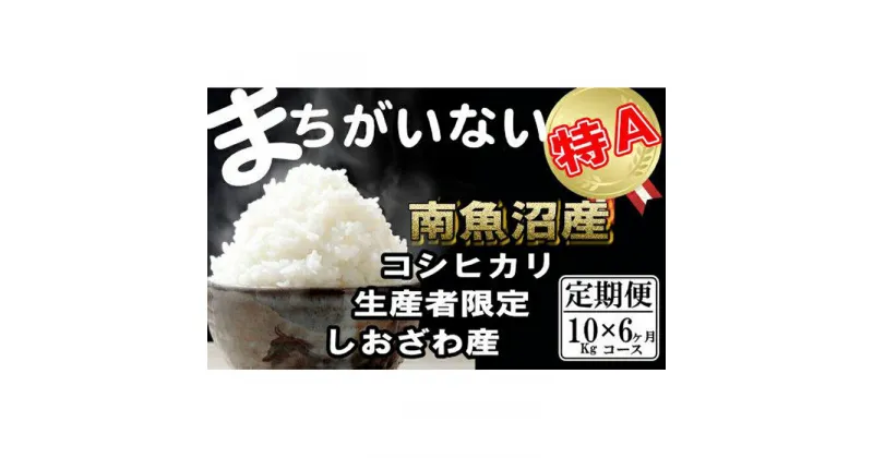 【ふるさと納税】米 定期便 コシヒカリ 南魚沼しおざわ産 60kg ( 10kg × 6ヶ月 ) 契約栽培 | お米 こめ 白米 コシヒカリ 食品 人気 おすすめ 送料無料 魚沼 南魚沼 南魚沼市 新潟県産 新潟県 精米 産直 産地直送 お取り寄せ お楽しみ