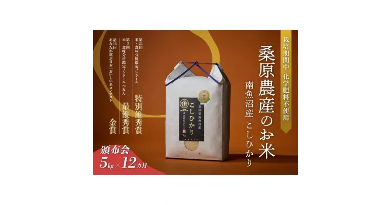 【ふるさと納税】米 定期便 コシヒカリ 南魚沼産 60kg ( 5kg × 12ヵ月) 桑原農産 | お米 こめ 白米 コシヒカリ 食品 人気 おすすめ 送料無料 魚沼 南魚沼 南魚沼市 新潟県産 新潟県 精米 産直 産地直送 お取り寄せ お楽しみ