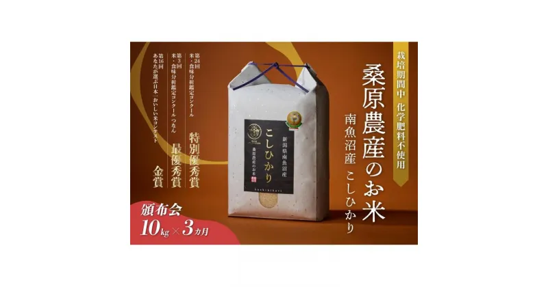 【ふるさと納税】米 定期便 コシヒカリ 南魚沼産 30kg ( 10kg × 3ヵ月) 桑原農産 | お米 こめ 白米 コシヒカリ 食品 人気 おすすめ 送料無料 魚沼 南魚沼 南魚沼市 新潟県産 新潟県 精米 産直 産地直送 お取り寄せ お楽しみ