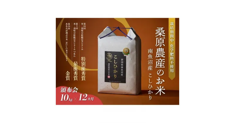 【ふるさと納税】米 定期便 コシヒカリ 南魚沼産 120kg ( 10kg × 12ヵ月) 桑原農産 | お米 こめ 白米 コシヒカリ 食品 人気 おすすめ 送料無料 魚沼 南魚沼 南魚沼市 新潟県産 新潟県 精米 産直 産地直送 お取り寄せ お楽しみ