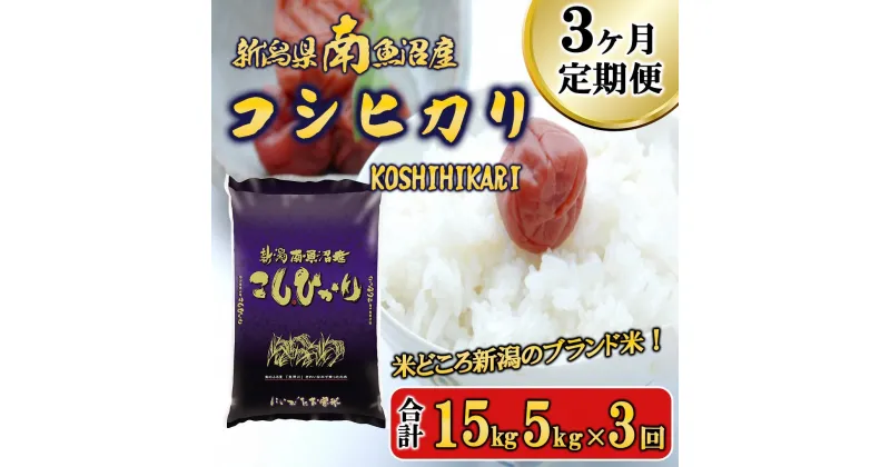 【ふるさと納税】【令和6年産新米予約／令和6年11月上旬より順次発送】米 定期便 コシヒカリ 南魚沼産 15kg ( 5kg × 3ヵ月 ) | お米 こめ 白米 コシヒカリ 食品 人気 おすすめ 送料無料 魚沼 南魚沼 南魚沼市 新潟県産 新潟県 精米 産直 産地直送 お取り寄せ お楽しみ