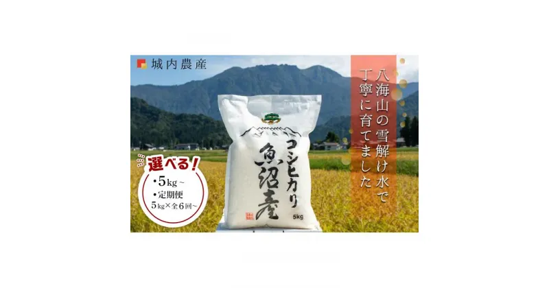 【ふるさと納税】【令和6年産新米予約】南魚沼産コシヒカリ 【5割減農薬栽培米】 城内農産　白米5kg・10kg／無洗米5kg・10kg・20kg／定期便各種 | お米 白米 コシヒカリ 食品 人気 おすすめ 送料無料 魚沼 南魚沼 南魚沼市 新潟県産 新潟県 精米 産直 産地直送 お取り寄せ