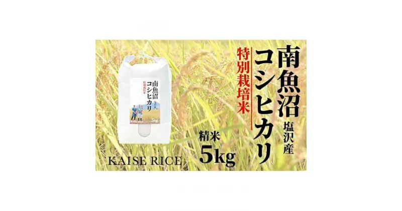 【ふるさと納税】南魚沼産塩沢コシヒカリ【従来品種】（特別栽培米8割減農薬）精米5kg | お米 こめ 白米 コシヒカリ 食品 人気 おすすめ 送料無料 魚沼 南魚沼 南魚沼市 新潟県産 新潟県 精米 産直 産地直送 お取り寄せ