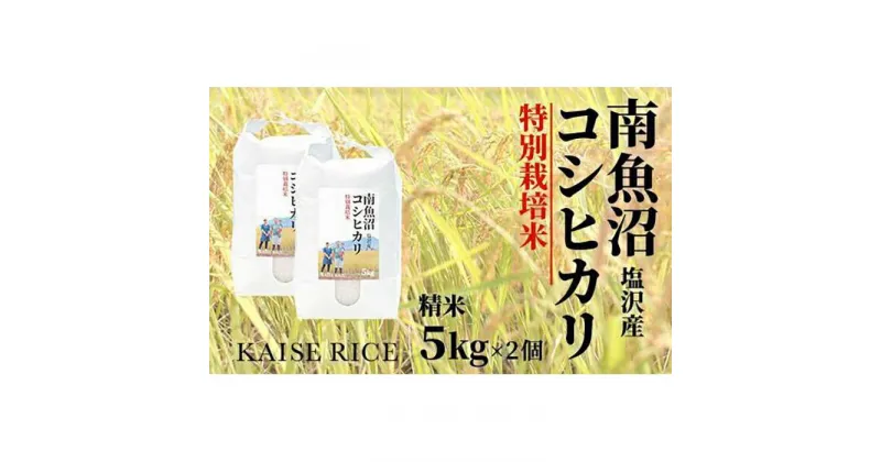 【ふるさと納税】南魚沼産塩沢コシヒカリ【従来品種】（特別栽培米8割減農薬）精米5kg×2個 | お米 こめ 白米 コシヒカリ 食品 人気 おすすめ 送料無料 魚沼 南魚沼 南魚沼市 新潟県産 新潟県 精米 産直 産地直送 お取り寄せ