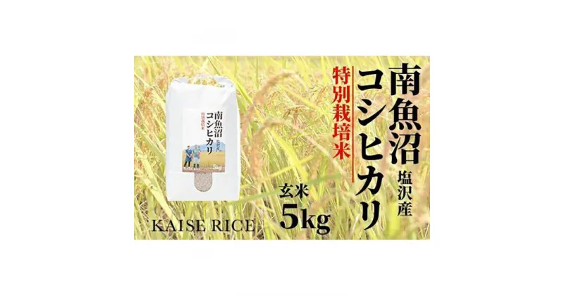 【ふるさと納税】南魚沼産塩沢コシヒカリ【従来品種】（特別栽培米8割減農薬）玄米5kg | お米 こめ 食品 コシヒカリ 人気 おすすめ 送料無料 魚沼 南魚沼 南魚沼市 新潟県 玄米 産直 産地直送 お取り寄せ