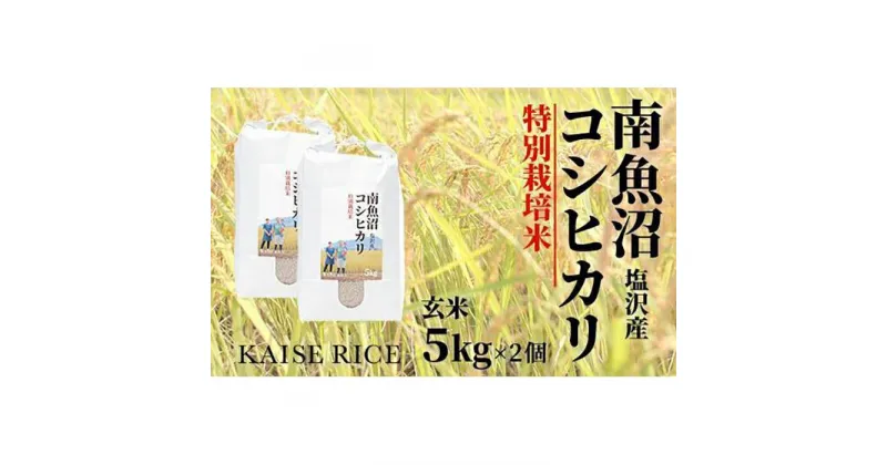 【ふるさと納税】南魚沼産塩沢コシヒカリ【従来品種】（特別栽培米8割減農薬）玄米5kg×2個 | お米 こめ 食品 コシヒカリ 人気 おすすめ 送料無料 魚沼 南魚沼 南魚沼市 新潟県 玄米 産直 産地直送 お取り寄せ