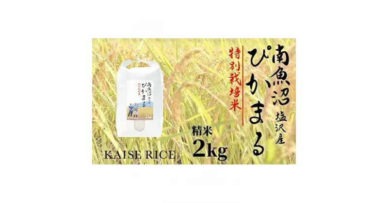 【ふるさと納税】南魚沼産塩沢コシヒカリ【従来品種】（特別栽培米8割減農薬）精米2kg | お米 こめ 白米 コシヒカリ 食品 人気 おすすめ 送料無料 魚沼 南魚沼 南魚沼市 新潟県産 新潟県 精米 産直 産地直送 お取り寄せ