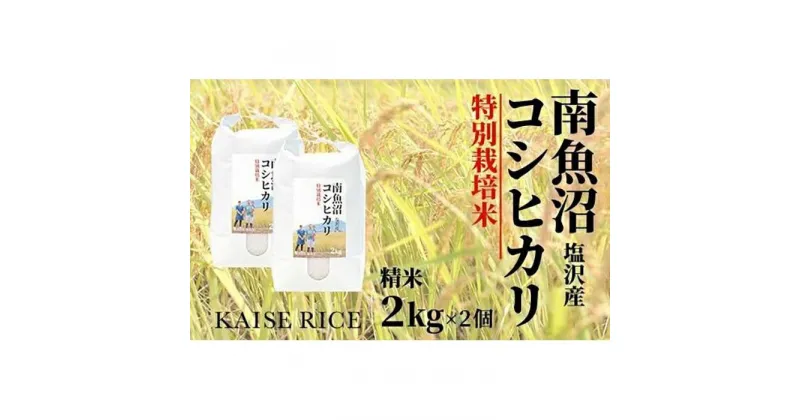 【ふるさと納税】南魚沼産塩沢コシヒカリ【従来品種】（特別栽培米8割減農薬）精米2kg×2個 | お米 こめ 白米 コシヒカリ 食品 人気 おすすめ 送料無料 魚沼 南魚沼 南魚沼市 新潟県産 新潟県 精米 産直 産地直送 お取り寄せ