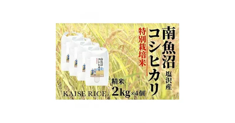 【ふるさと納税】南魚沼産塩沢コシヒカリ【従来品種】（特別栽培米8割減農薬）精米2kg×4個 | お米 こめ 白米 コシヒカリ 食品 人気 おすすめ 送料無料 魚沼 南魚沼 南魚沼市 新潟県産 新潟県 精米 産直 産地直送 お取り寄せ