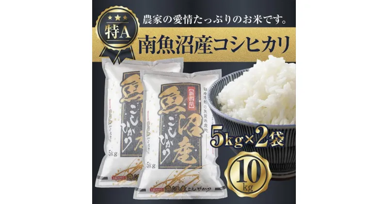 【ふるさと納税】新潟県 南魚沼産 コシヒカリ お米 5kg×2袋 計10kg 精米済み（お米の美味しい炊き方ガイド付き） | お米 こめ 白米 コシヒカリ 食品 人気 おすすめ 送料無料 魚沼 南魚沼 南魚沼市 新潟県産 新潟県 精米 産直 産地直送 お取り寄せ