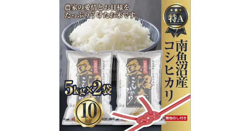 【ふるさと納税】【無地のし】新潟県 南魚沼産 コシヒカリ お米 5kg×2袋 計10kg 精米済み（お米の美味しい炊き方ガイド付き） | お米 こめ 白米 コシヒカリ 食品 人気 おすすめ 送料無料 魚沼 南魚沼 南魚沼市 新潟県産 新潟県 精米 産直 産地直送 お取り寄せ