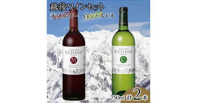 【ふるさと納税】酒 ワイン 飲み比べ 2本 × 750ml ( 越後ワイン メルロー シャルドネ ) | お酒 さけ 食品 人気 おすすめ 送料無料 ギフト セット