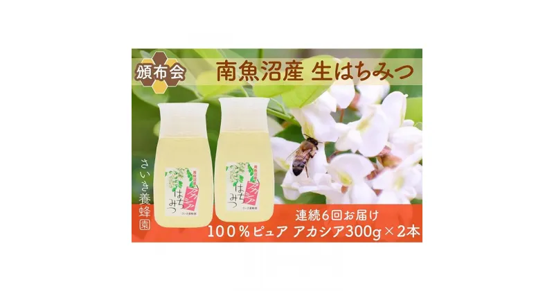 【ふるさと納税】【頒布会】さいき養蜂園　　天然ピュア蜂蜜　アカシア300g×2本　6か月連続お届け