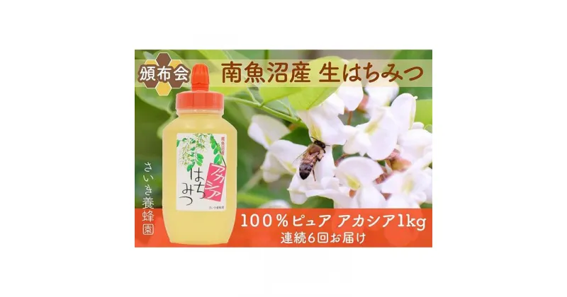 【ふるさと納税】【頒布会】さいき養蜂園　　天然ピュア蜂蜜　アカシア1kg　6か月連続お届け