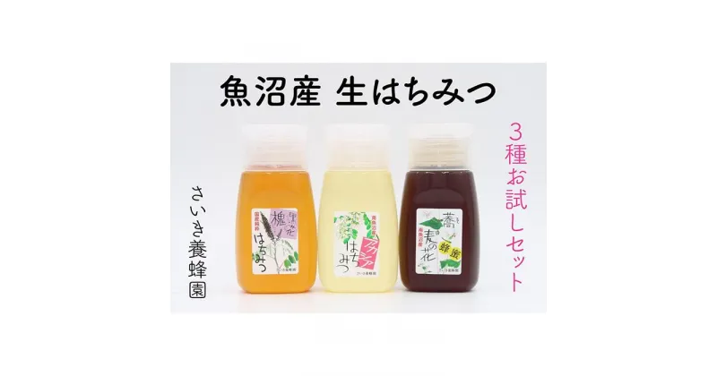 【ふるさと納税】さいき養蜂園　天然ピュアはちみつお試しセット 300g×3種