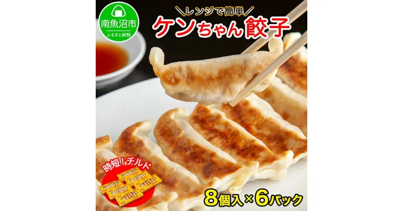 【ふるさと納税】新潟県 南魚沼市 チルド手焼き餃子 8個入り × 6パック 計48個 ケンちゃん餃子 冷蔵 中華 点心 惣菜 ビール お取り寄せ グルメ