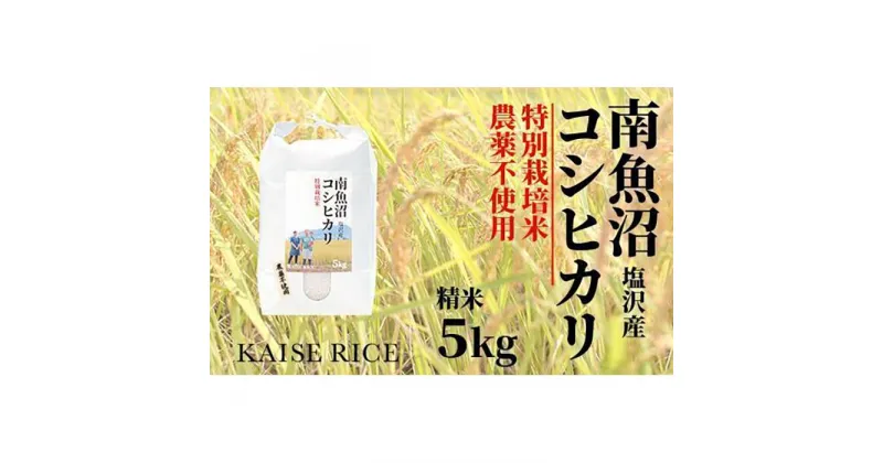 【ふるさと納税】南魚沼産塩沢コシヒカリ【従来品種】（農薬不使用）精米5kg | お米 こめ 白米 コシヒカリ 食品 人気 おすすめ 送料無料 魚沼 南魚沼 南魚沼市 新潟県産 新潟県 精米 産直 産地直送 お取り寄せ