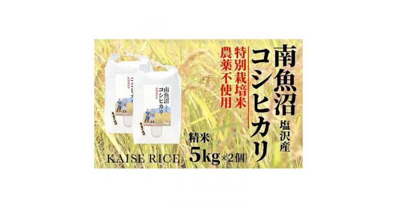 【ふるさと納税】南魚沼産塩沢コシヒカリ【従来品種】（農薬不使用）精米5kg×2個 | お米 こめ 白米 コシヒカリ 食品 人気 おすすめ 送料無料 魚沼 南魚沼 南魚沼市 新潟県産 新潟県 精米 産直 産地直送 お取り寄せ