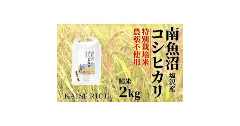 【ふるさと納税】南魚沼産塩沢コシヒカリ【従来品種】（農薬不使用）精米2kg | お米 こめ 白米 コシヒカリ 食品 人気 おすすめ 送料無料 魚沼 南魚沼 南魚沼市 新潟県産 新潟県 精米 産直 産地直送 お取り寄せ