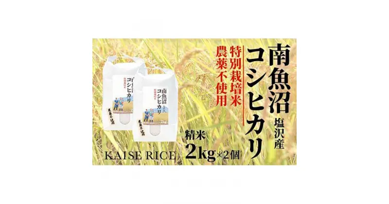 【ふるさと納税】南魚沼産塩沢コシヒカリ【従来品種】（農薬不使用）精米2kg×2個 | お米 こめ 白米 コシヒカリ 食品 人気 おすすめ 送料無料 魚沼 南魚沼 南魚沼市 新潟県産 新潟県 精米 産直 産地直送 お取り寄せ