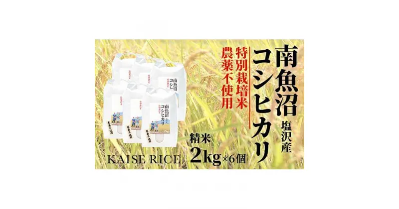 【ふるさと納税】南魚沼産塩沢コシヒカリ【従来品種】（農薬不使用）精米2kg×6個 | お米 こめ 白米 コシヒカリ 食品 人気 おすすめ 送料無料 魚沼 南魚沼 南魚沼市 新潟県産 新潟県 精米 産直 産地直送 お取り寄せ