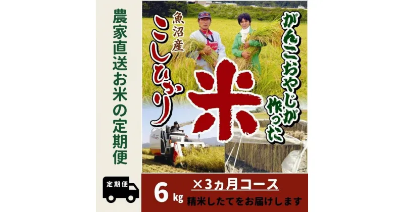 【ふるさと納税】【特別栽培米】3か月定期便　がんこおやじが作った南魚沼産コシヒカリ白米6kg（3kg×2袋） | お米 こめ 白米 コシヒカリ 食品 人気 おすすめ 送料無料 魚沼 南魚沼 南魚沼市 新潟県産 新潟県 精米 産地直送