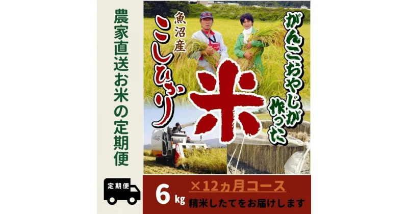 【ふるさと納税】【特別栽培米】12か月定期便　がんこおやじが作った南魚沼産コシヒカリ白米6kg（3kg×2袋） | お米 こめ 白米 コシヒカリ 食品 人気 おすすめ 送料無料 魚沼 南魚沼 南魚沼市 新潟県産 新潟県 精米 産地直送