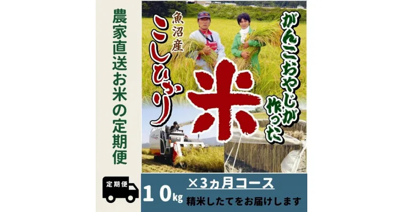 【ふるさと納税】【特別栽培米】3か月定期便　がんこおやじが作った南魚沼産コシヒカリ白米10kg（5kg×2袋） | お米 こめ 白米 コシヒカリ 食品 人気 おすすめ 送料無料 魚沼 南魚沼 南魚沼市 新潟県産 新潟県 精米 産地直送