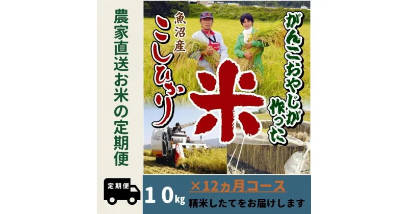 【ふるさと納税】【特別栽培米】12か月定期便　がんこおやじが作った南魚沼産コシヒカリ白米10kg（5kg×2袋） | お米 こめ 白米 コシヒカリ 食品 人気 おすすめ 送料無料 魚沼 南魚沼 南魚沼市 新潟県産 新潟県 精米 産地直送