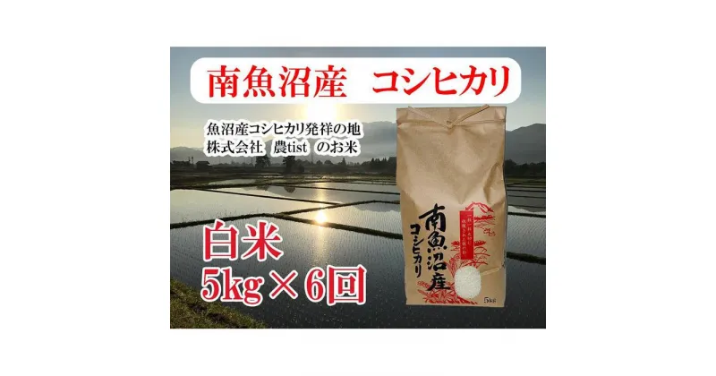 【ふるさと納税】【定期便 南魚沼産】コシヒカリ 白米5kg×6回