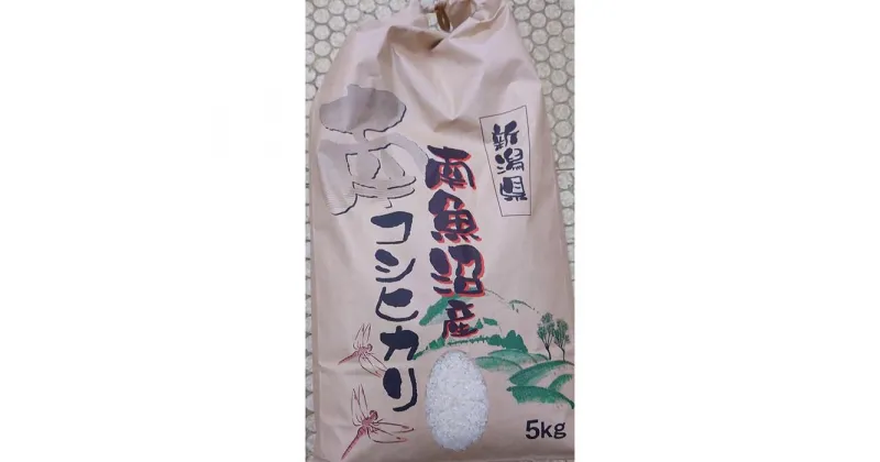 【ふるさと納税】南魚沼産コシヒカリ　5kg　令和6年産 | お米 こめ 白米 コシヒカリ 食品 人気 おすすめ 送料無料 魚沼 南魚沼 南魚沼市 新潟県産 新潟県 精米 産直 産地直送 お取り寄せ