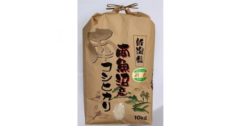 【ふるさと納税】南魚沼産コシヒカリ10kg　令和6年産 | お米 こめ 白米 コシヒカリ 食品 人気 おすすめ 送料無料 魚沼 南魚沼 南魚沼市 新潟県産 新潟県 精米 産直 産地直送 お取り寄せ