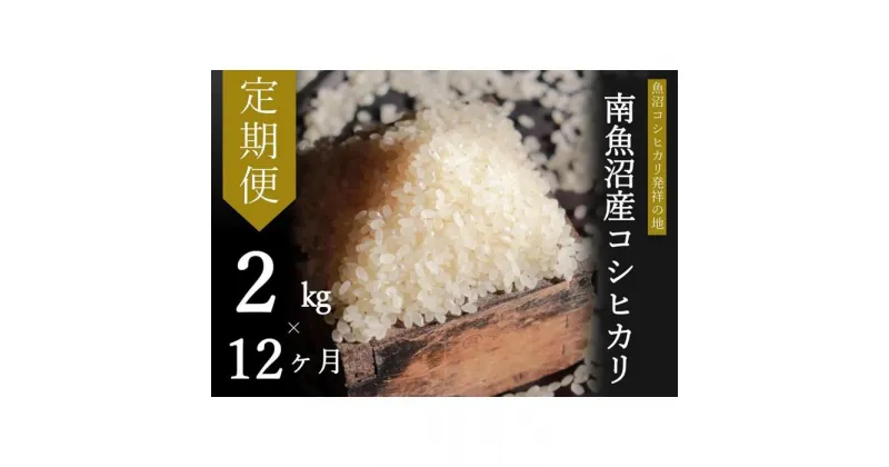 【ふるさと納税】【毎月1～10日発送】 米 定期便 コシヒカリ 南魚沼産 24kg ( 2kg × 12ヶ月 ) うちやま農園米 | 送料無料 魚沼産 コシヒカリ 魚沼 新潟 新潟県産 米 お米 産直 産地直送 お取り寄せ 人気 御中元 御歳暮 農家直送