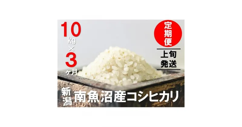 【ふるさと納税】【毎月1～10日発送】 米 定期便 コシヒカリ 南魚沼産 30kg ( 10kg × 3ヶ月 ) うちやま農園米 | 送料無料 魚沼産 コシヒカリ 魚沼 新潟 新潟県産 米 お米 産直 産地直送 お取り寄せ 人気 御中元 御歳暮 農家直送