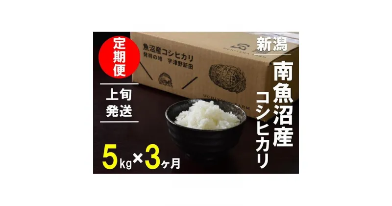 【ふるさと納税】【1～10日発送】 米 定期便 コシヒカリ 南魚沼産 15kg ( 5kg × 3ヶ月 ) うちやま農園米 | 送料無料 魚沼産 コシヒカリ 魚沼 新潟 新潟県産 米 お米 産直 産地直送 お取り寄せ 人気 御中元 御歳暮 農家直送