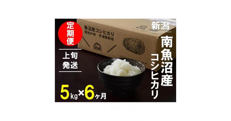 【ふるさと納税】【1～10日発送】 米 定期便 コシヒカリ 南魚沼産 30kg ( 5kg × 6ヶ月 ) うちやま農園米 | 送料無料 魚沼産 コシヒカリ 魚沼 新潟 新潟県産 米 お米 産直 産地直送 お取り寄せ 人気 御中元 御歳暮 農家直送