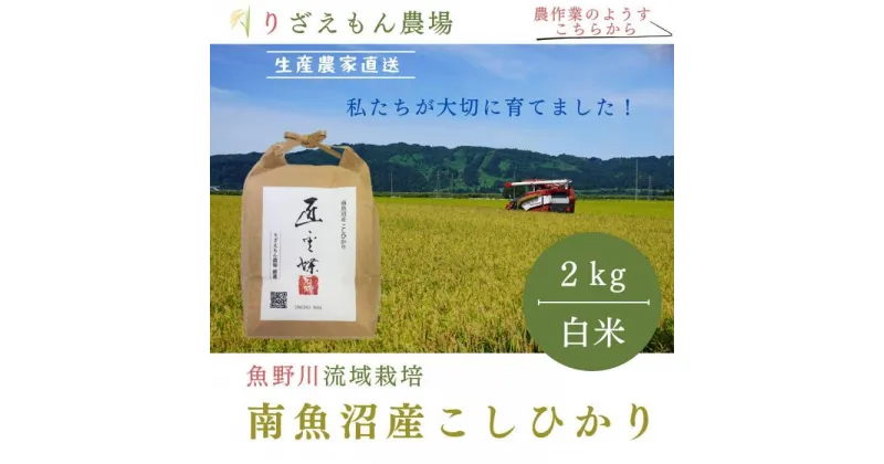 【ふるさと納税】《新米予約受付》白米2kg　令和6年産　南魚沼産　コシヒカリ　こしひかり　魚野川流域　匠 雲蝶(たくみ　うんちょう）＼生産農家直送／ | お米 こめ 白米 コシヒカリ 食品 人気 おすすめ 送料無料 魚沼 南魚沼 南魚沼市 新潟県産 新潟県 精米